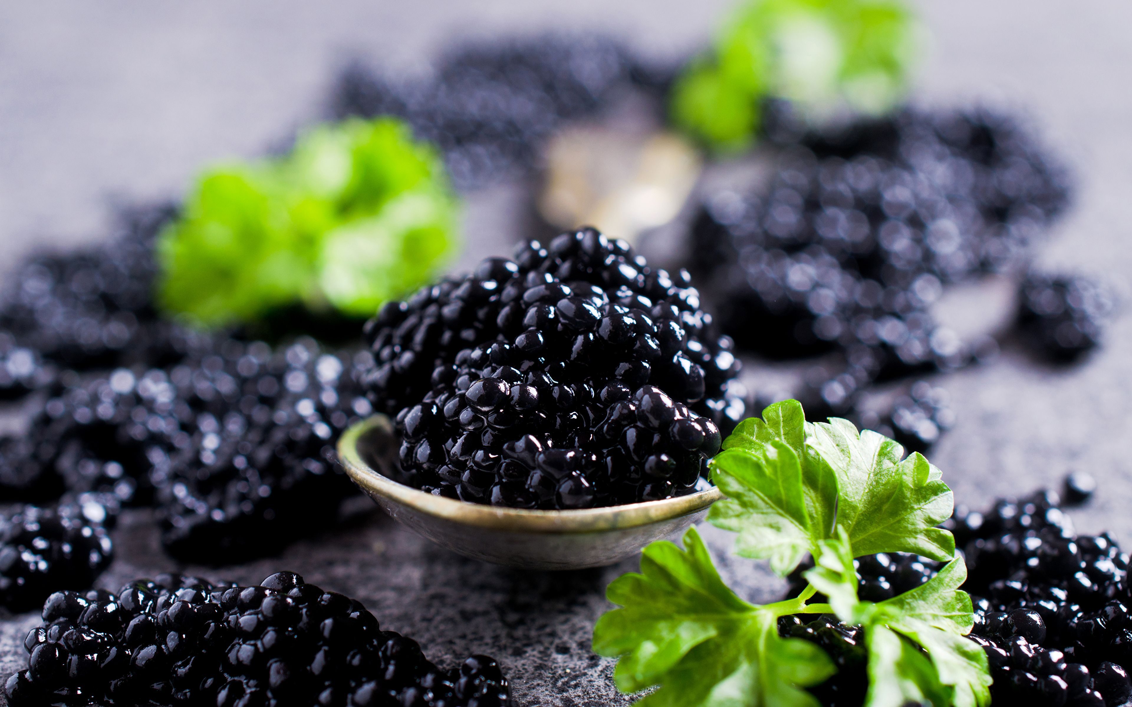 Wallpaper Black Caviar Food Closeup