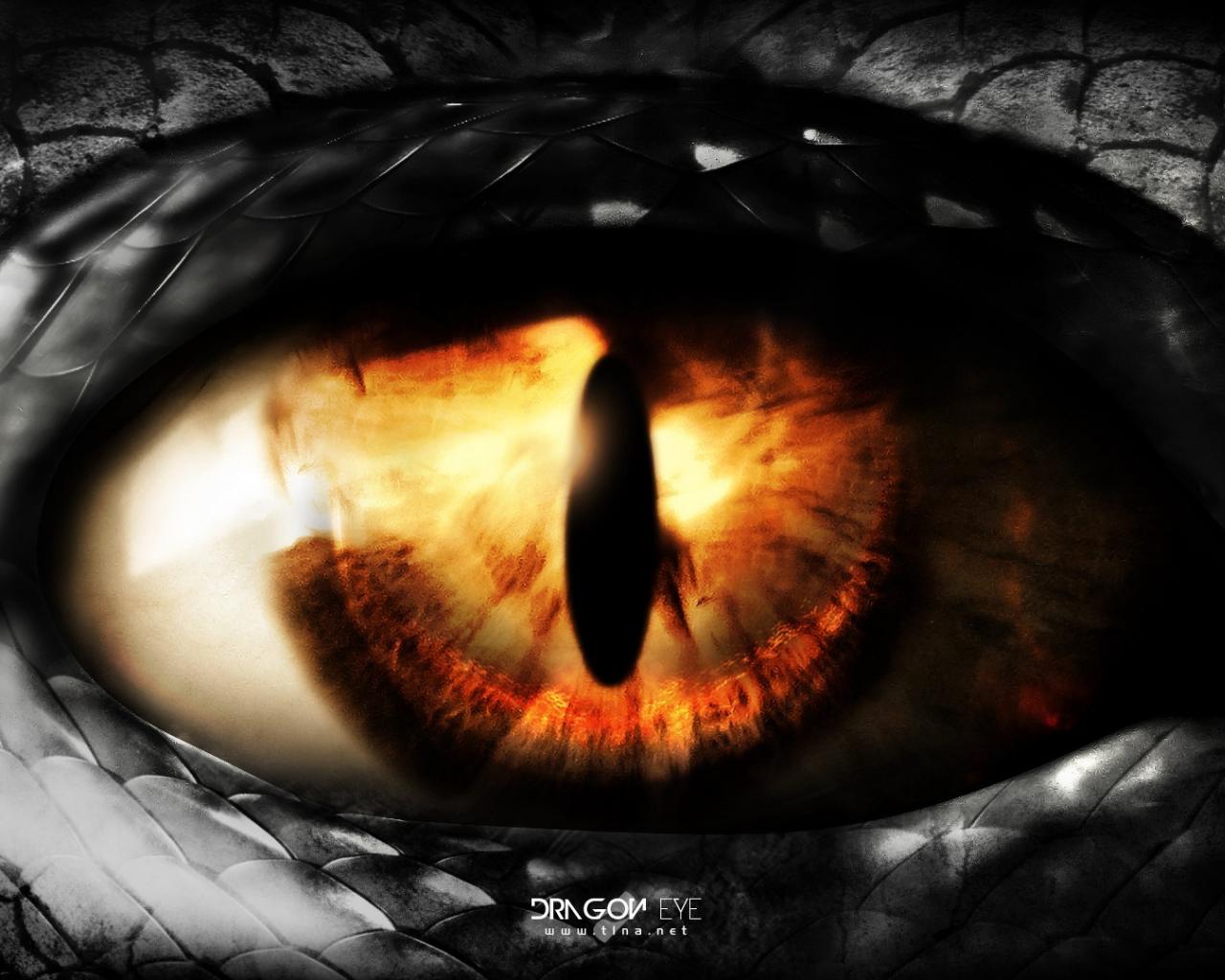 Eyes Dragons Eye Wallpaper