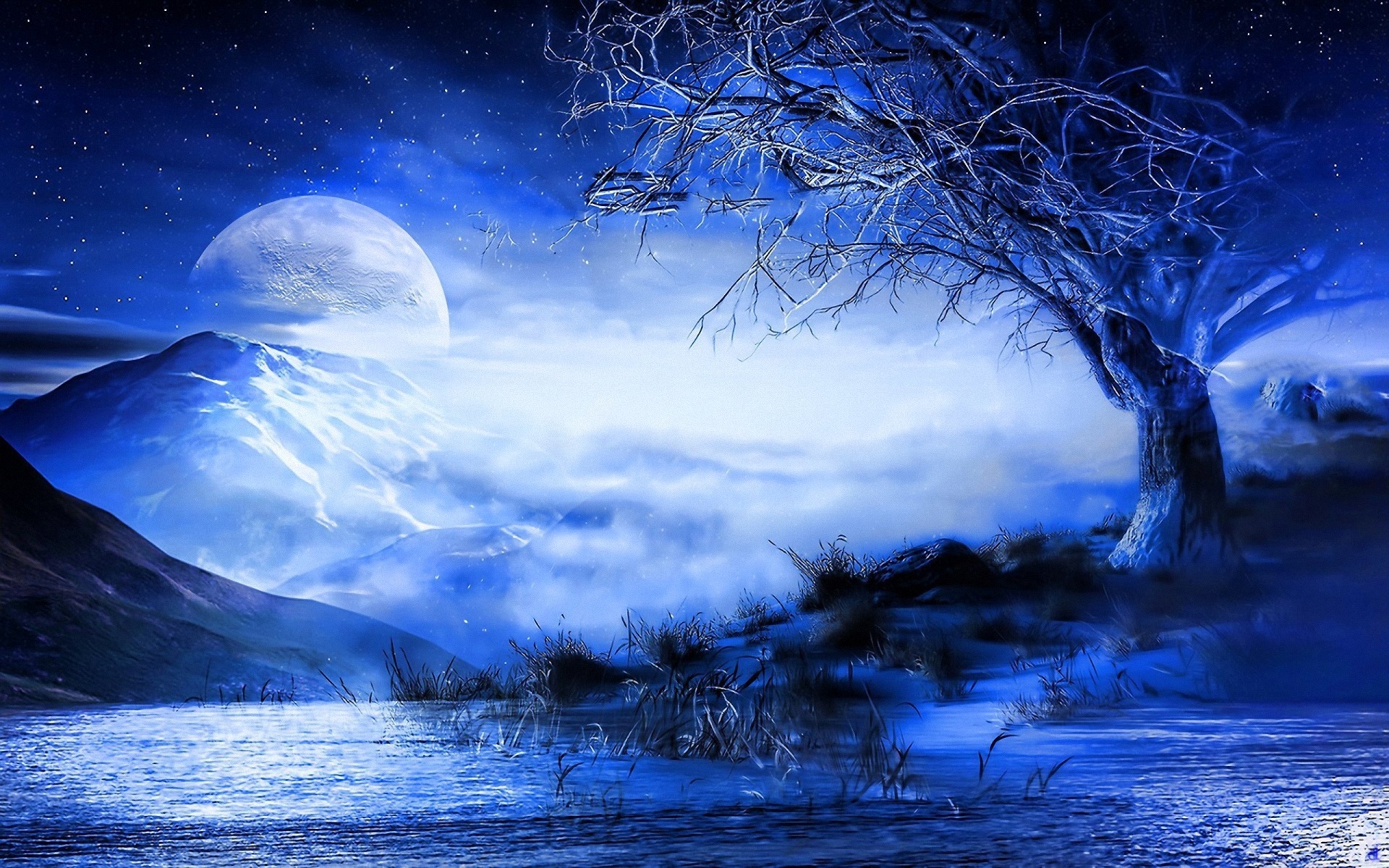 42+] Blue Moon Wallpaper HD - WallpaperSafari