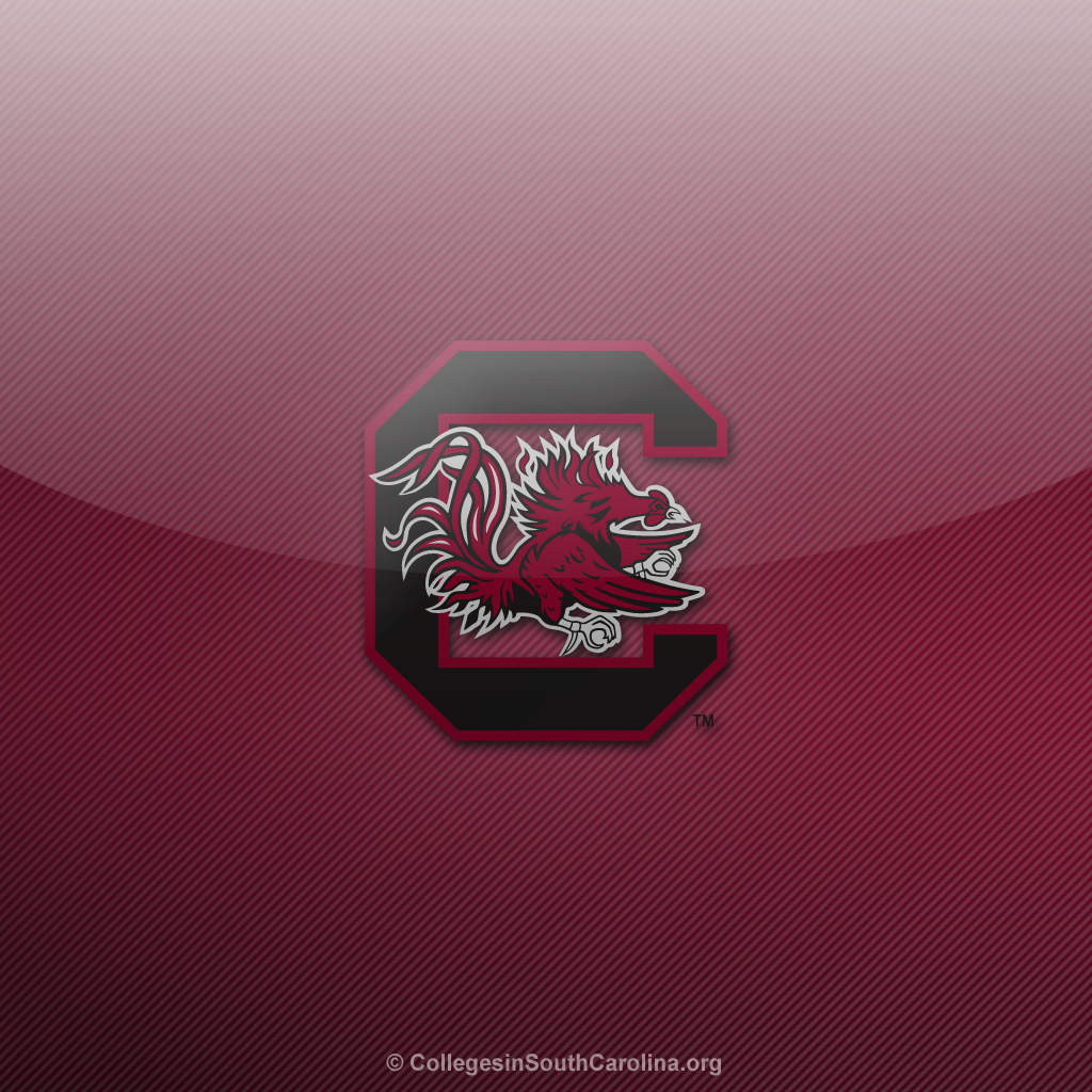 Related Pictures Gamecocks Wallpaper South Carolina