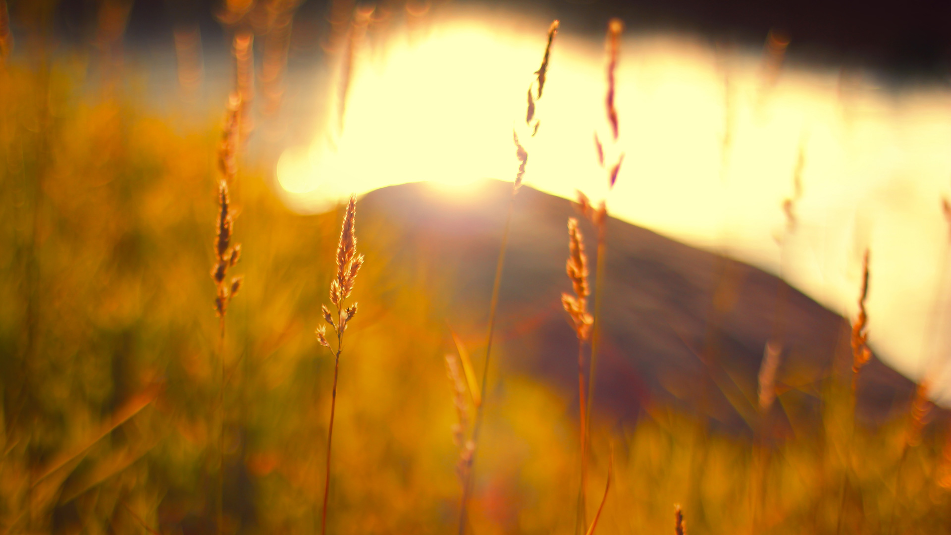 Autumn Full HD wallpaper 1080p sunset warm colors Full HD
