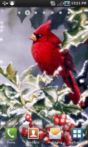 Bigger Winter Cardinal Live Wallpaper For Android Screenshot