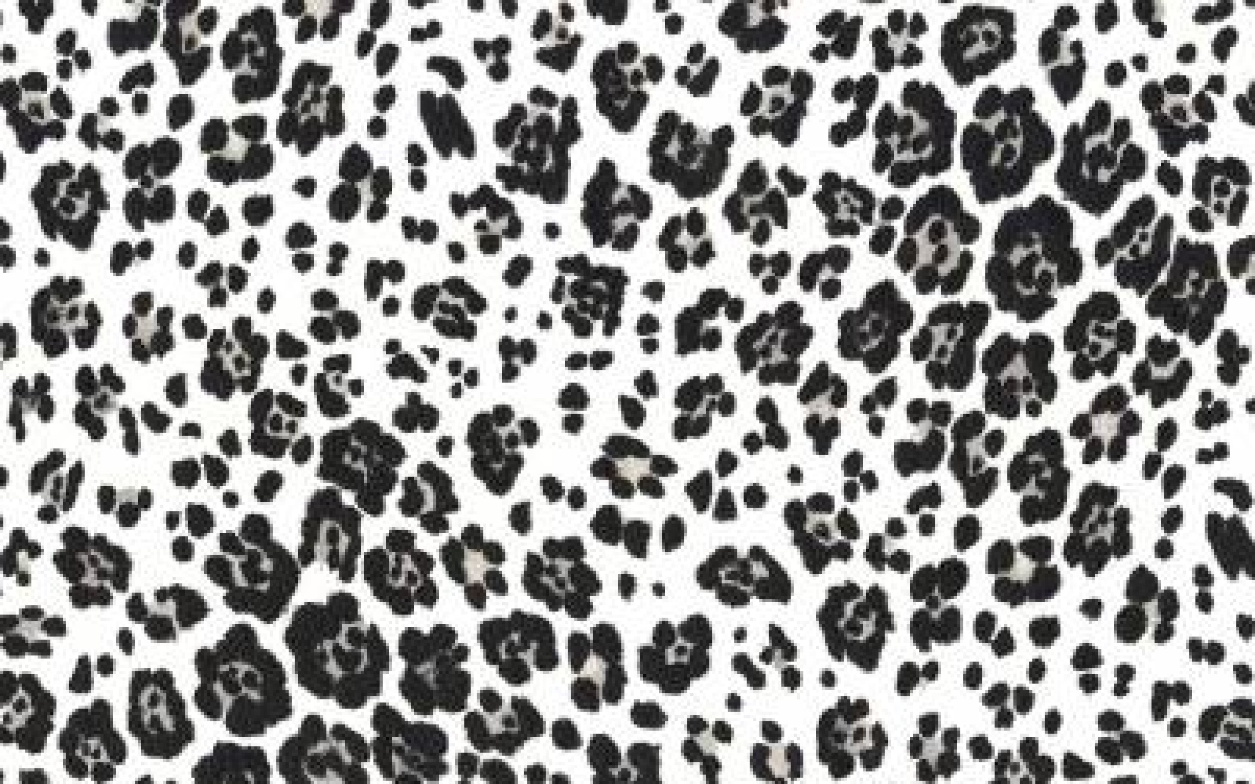 Black And White Leopard Print Wallpaper Id Frenzia
