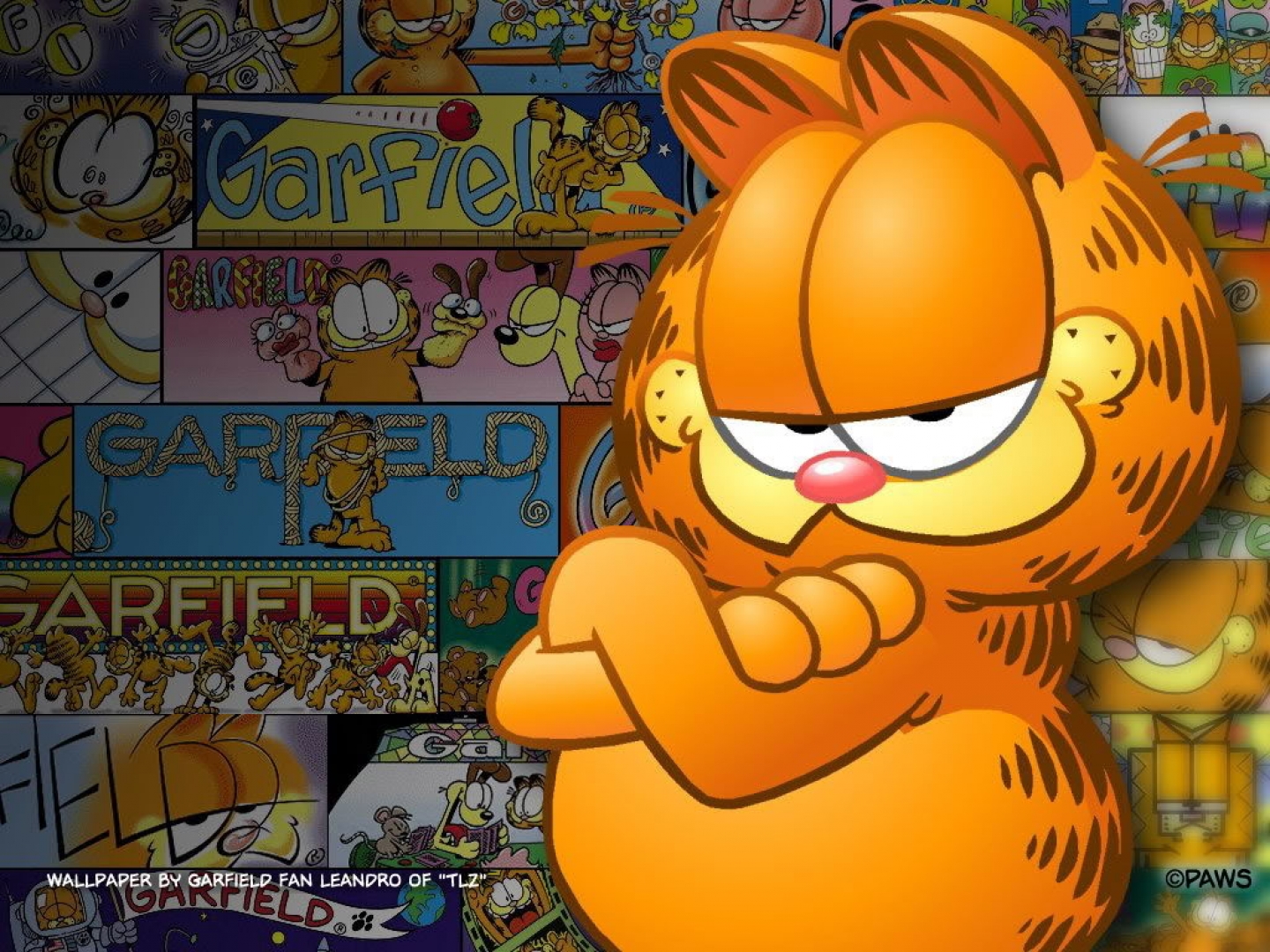 Garfield Wallpaper With Quotes Puter Desktop