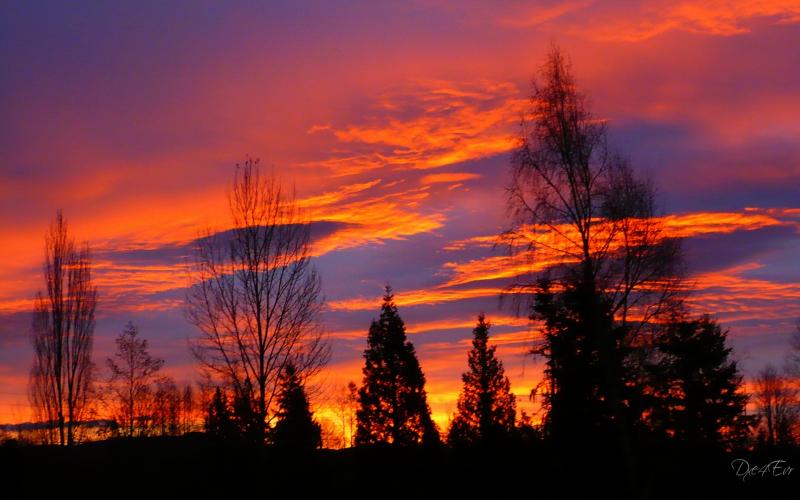 Pacific Northwest Sunrise
