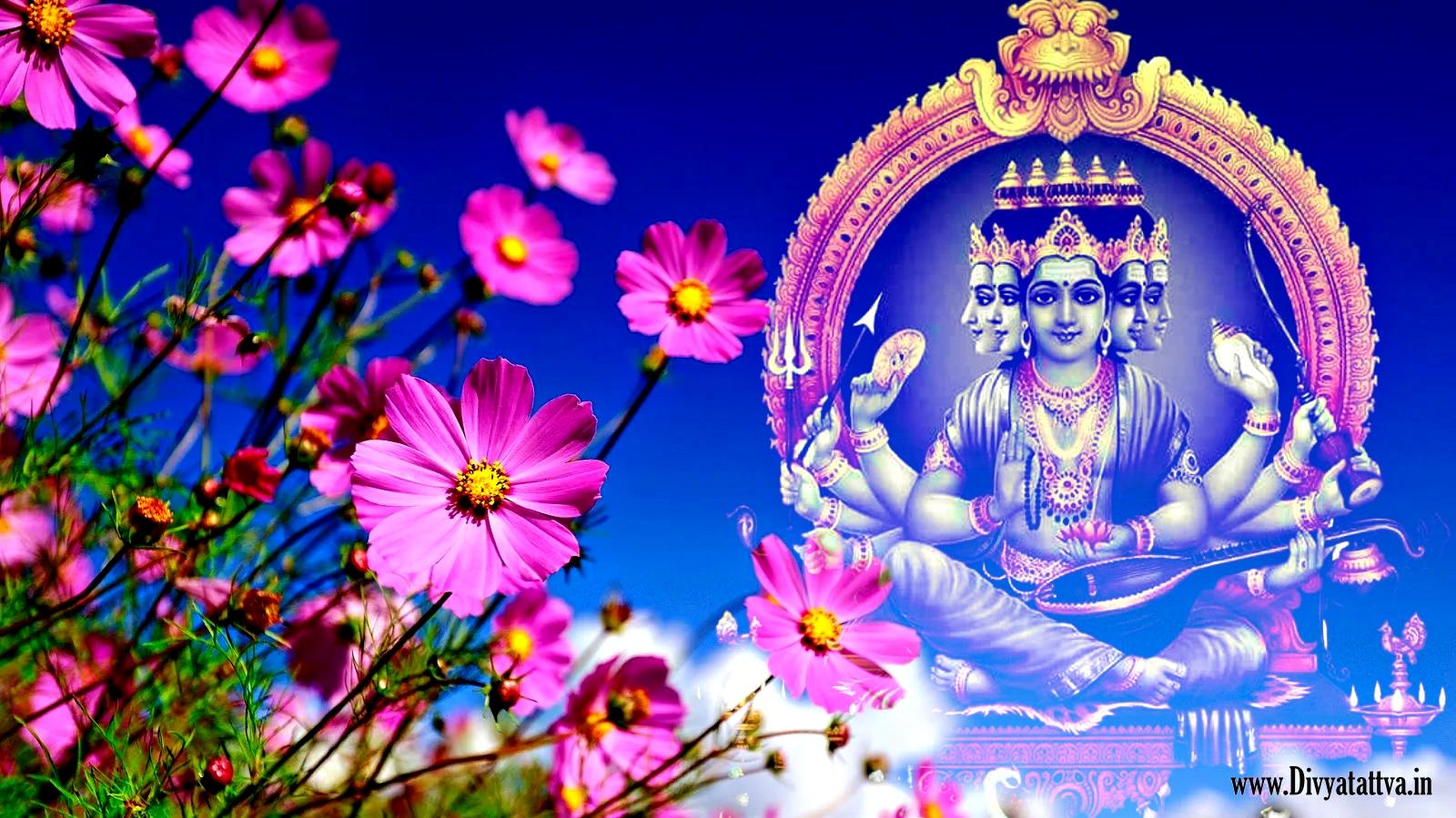 Lord Medha Dakshinamurthy 4K HD Wallpapers Photos Pictures for