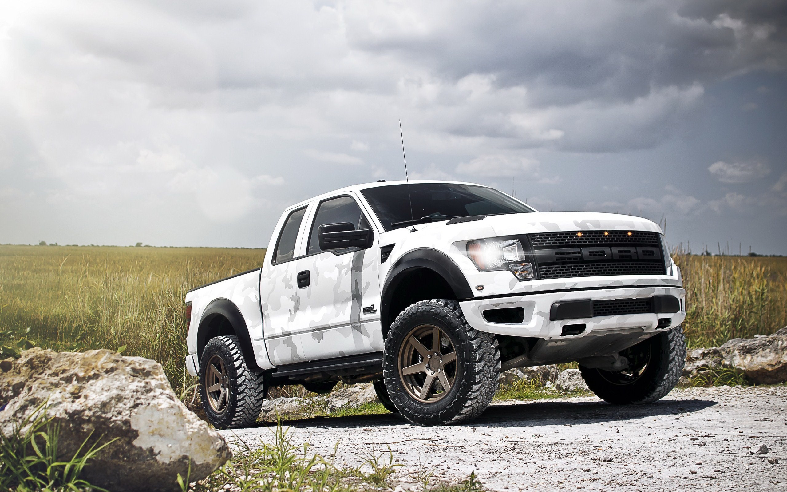Wallpapers Free White Camo Ford Raptor HD Wallpapers White Camo
