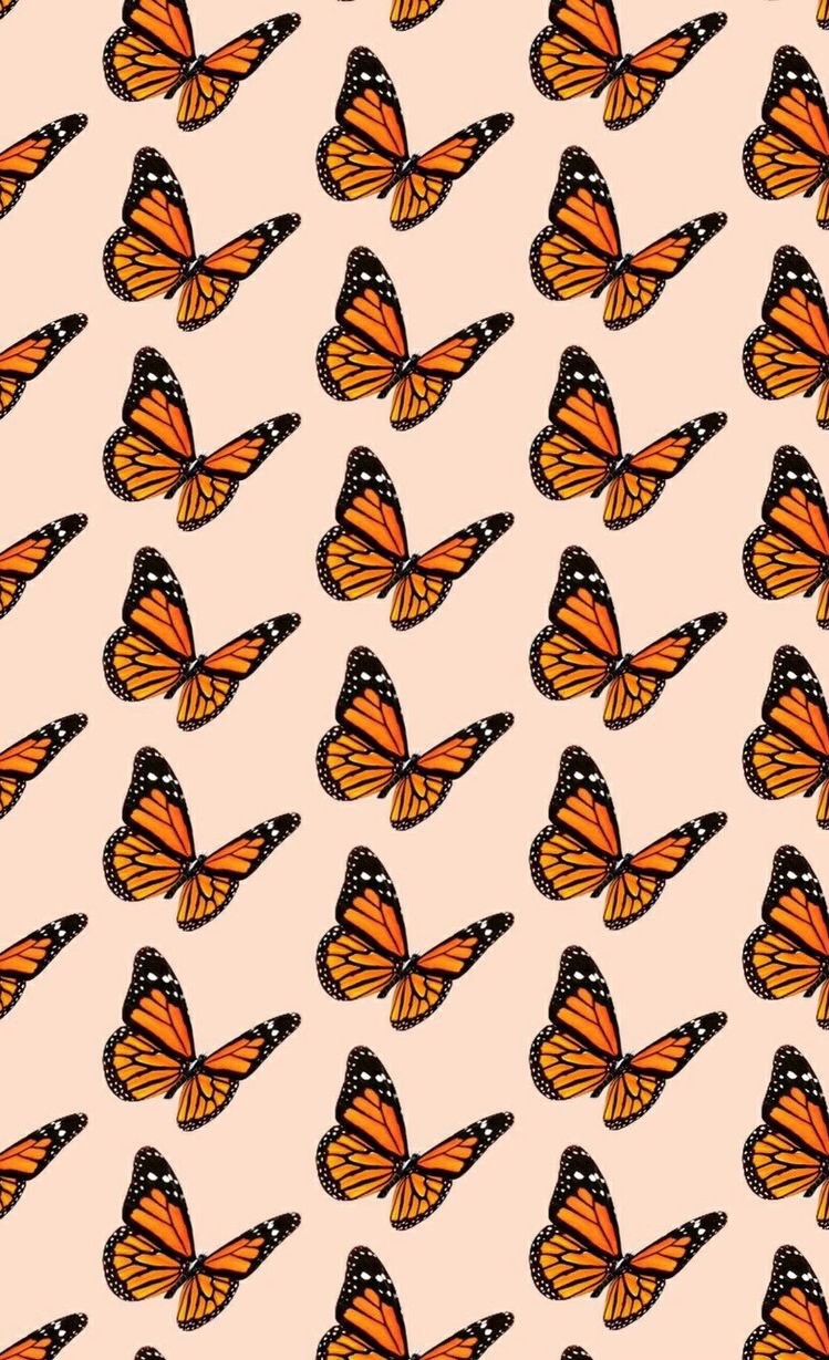 Wallpaper Butterfly Awesome HD