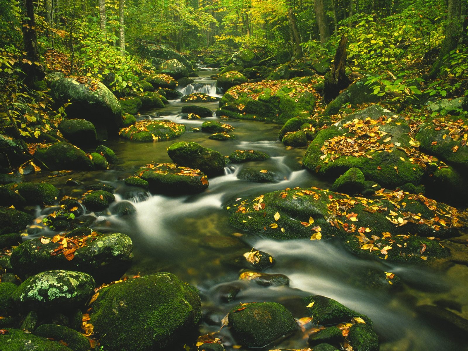 Exposure Great Smoky Mountains Tennessee Wallpaper Nature