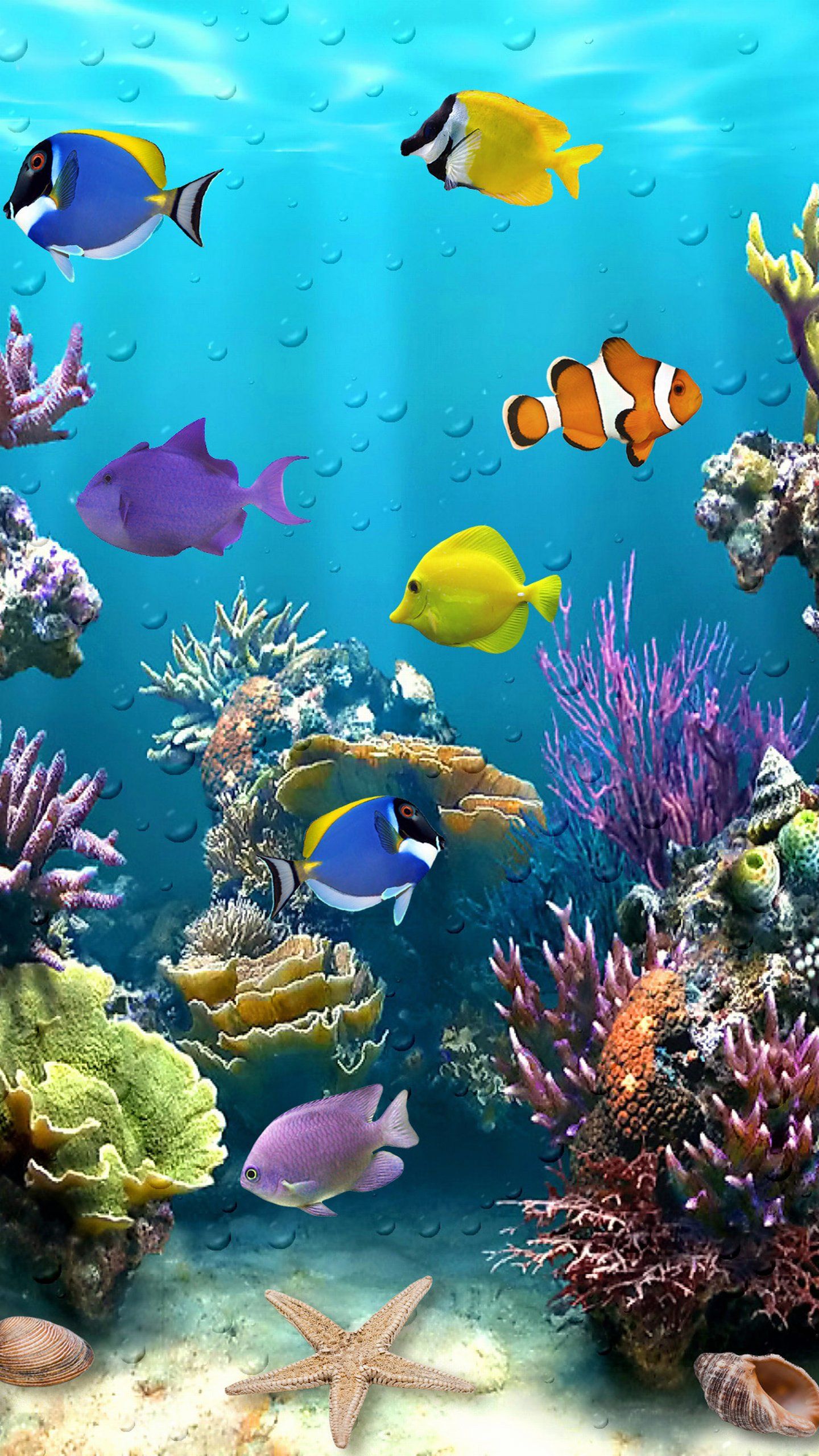 Beautiful Fish Tropical Wallpaper Underwater