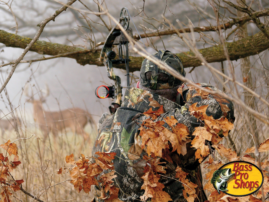 Bow Hunting Wallpaper Displaying Image For