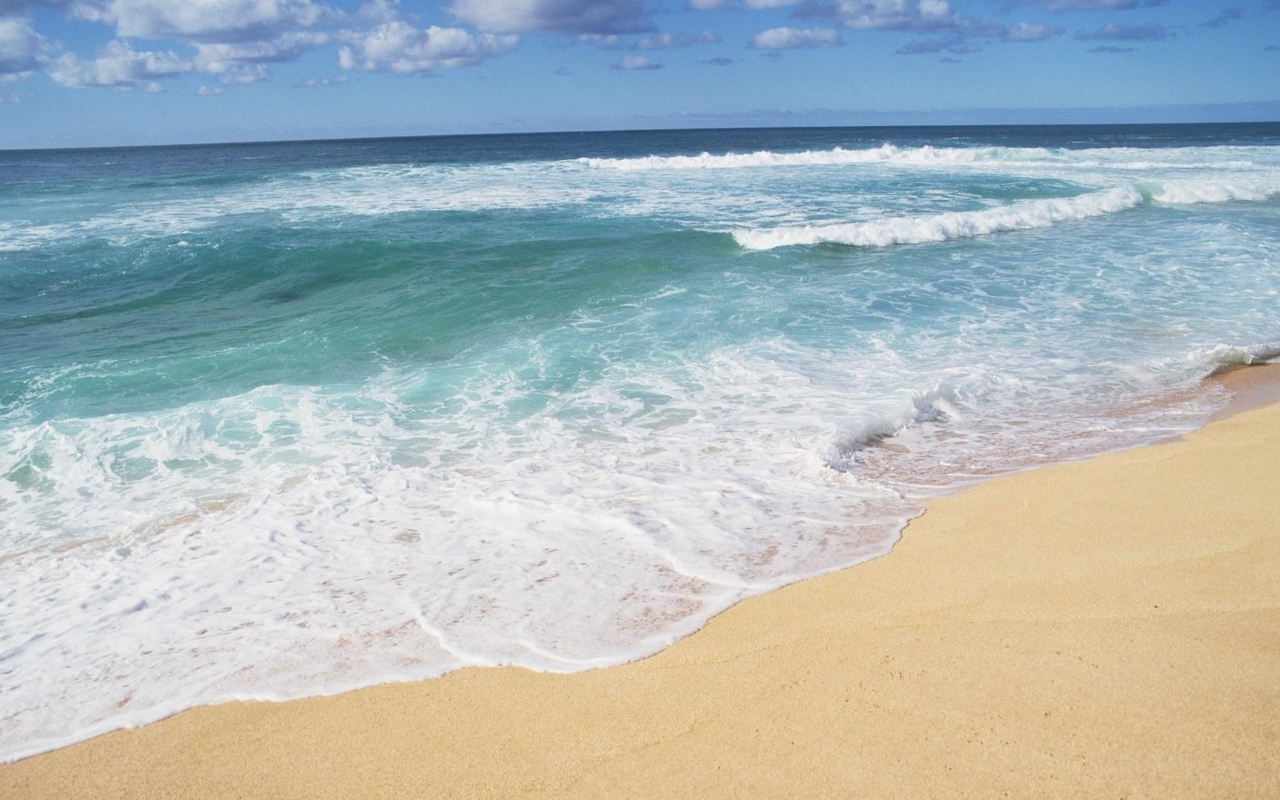 Download Hawaii Beach Shores wallpaper in Nature wallpapers with all