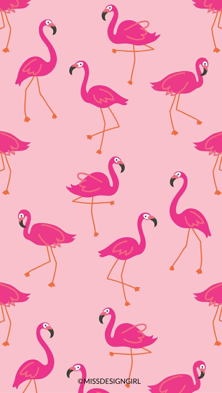 Flamingo Wallpaper 1st BirtHDay In Fondos De