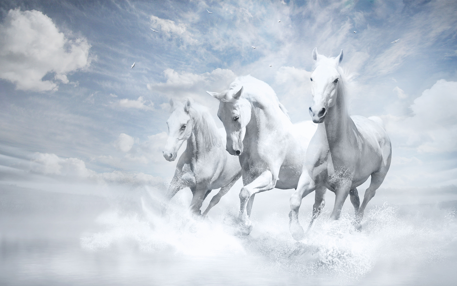 White Horses Wallpaper
