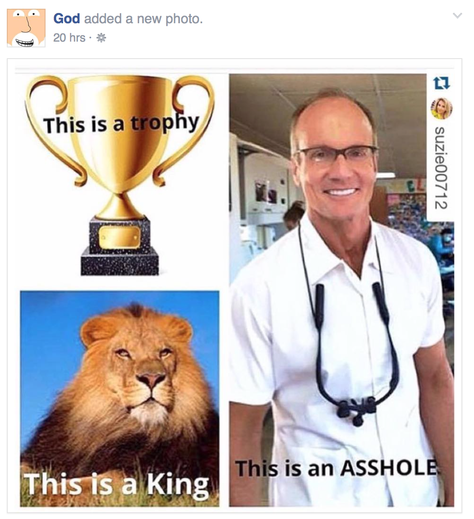 Cecil The Lion Killed By American Dentist Provoking Outrage Doublie