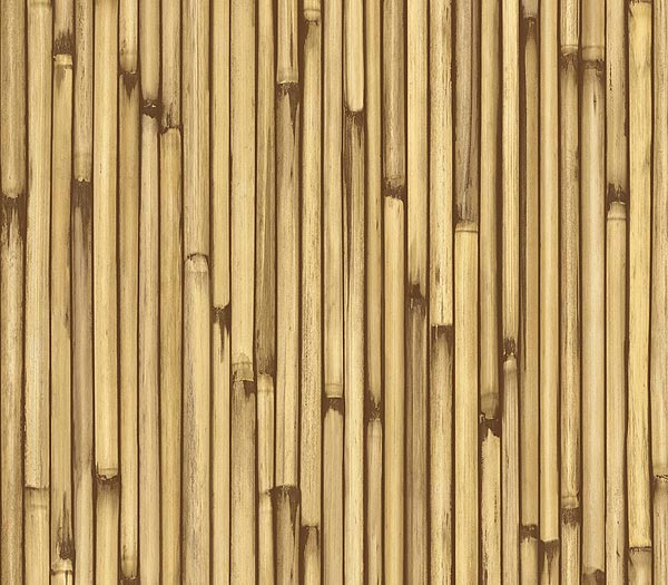 Funmozar Beautiful Bamboo Wallpaper