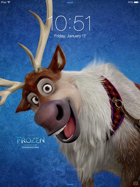 The Disney Movie Frozen Retina Wallpaper   iPhone iPad iPod 480x640