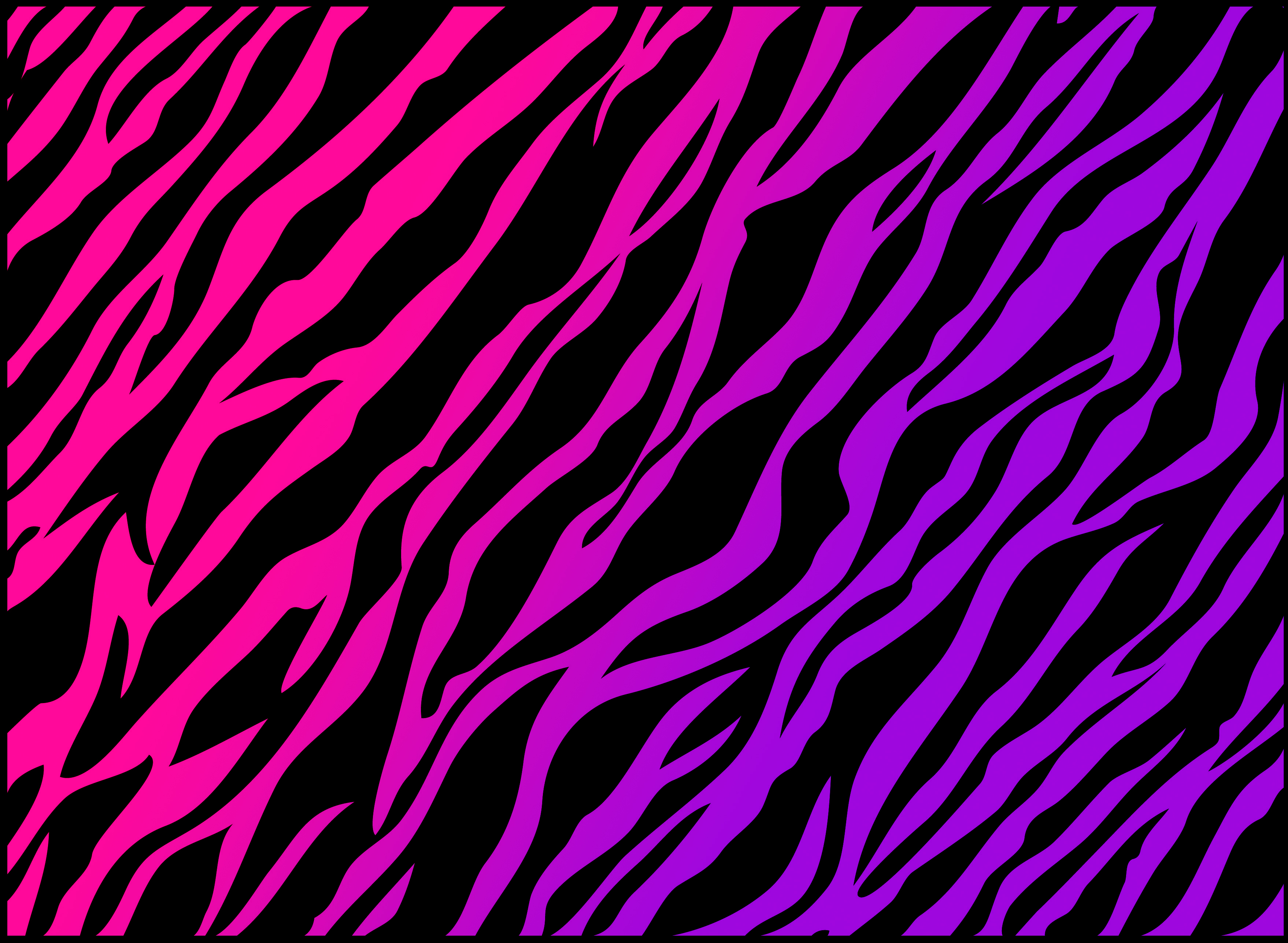Neon Pink Zebra Print Wallpaper