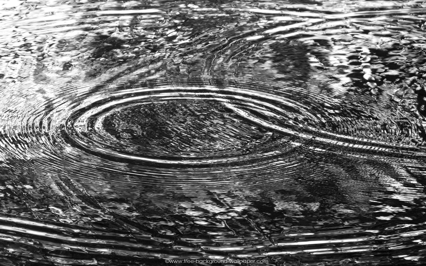 On Water Black And White Background Wallpaper Pixels