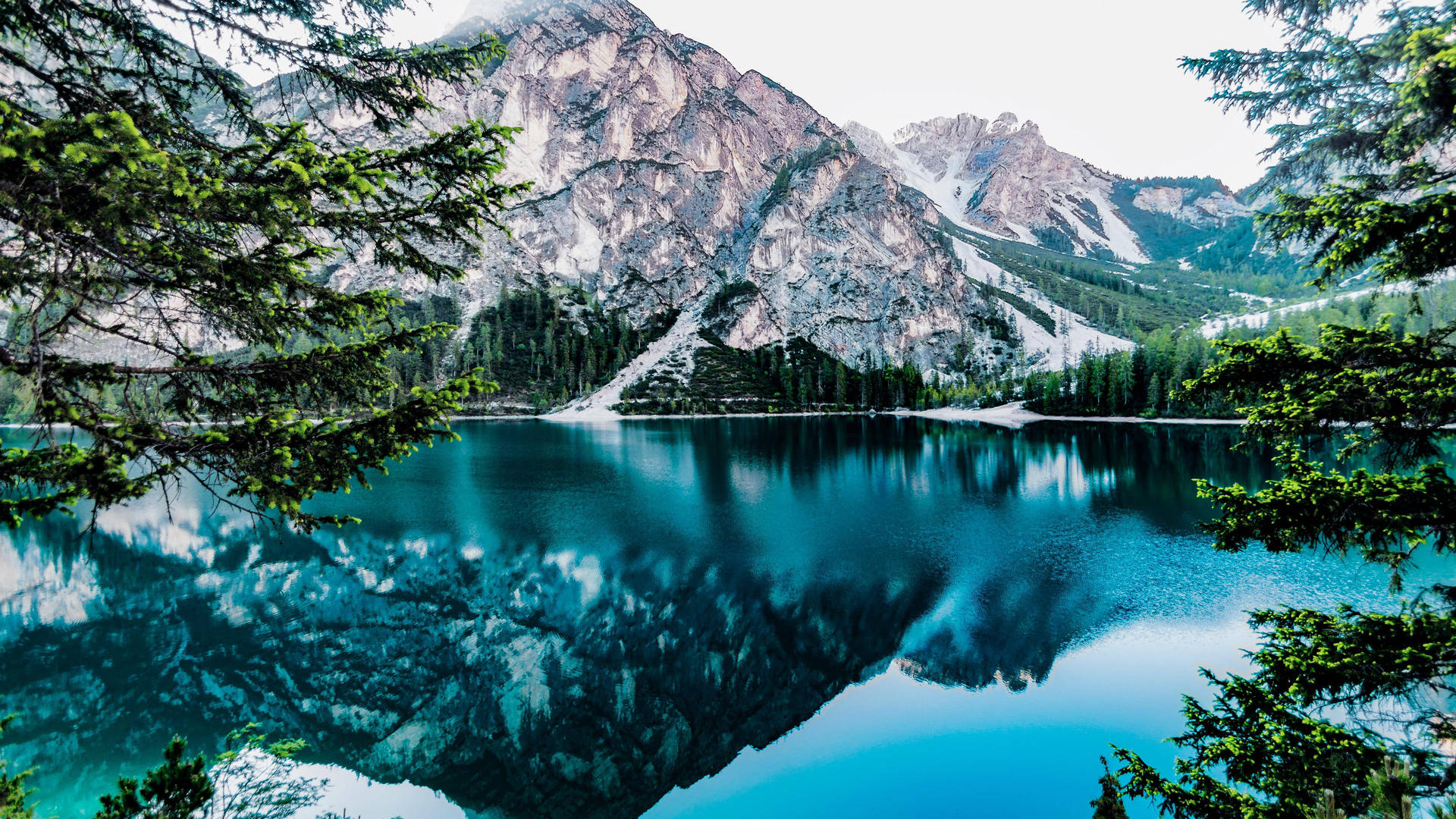 Forest Lake Wallpaper