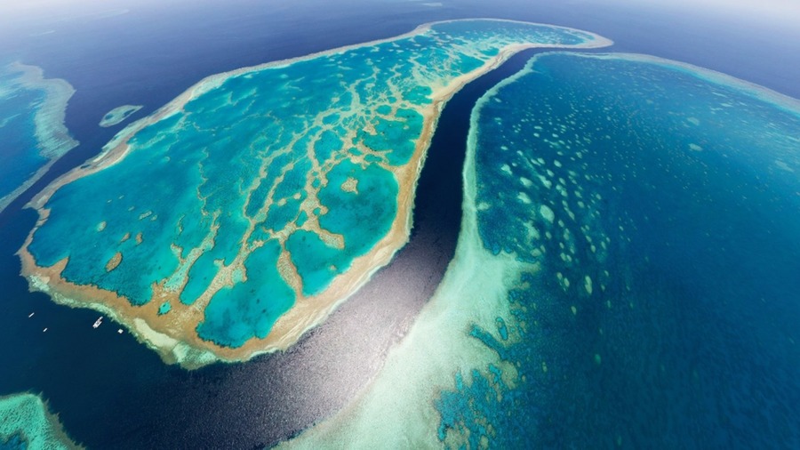 Great Barrier Reef Wallpaper High Definition Quality