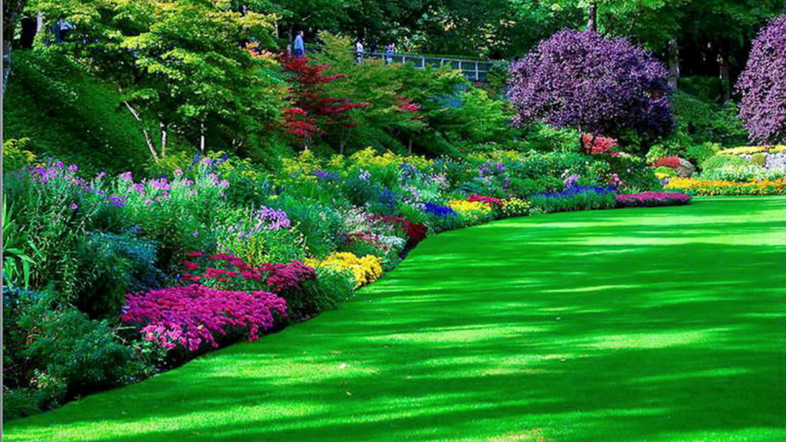 Garden Image HD Photos Live Wallpaper Hq Pictures
