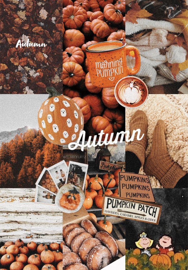 Autumn Fall Aesthetic Collage Iphone Wallpaper Cute