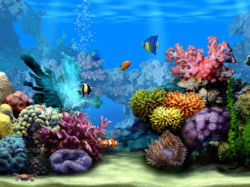 3d Desktop Aquarium Screensaver Screensavers