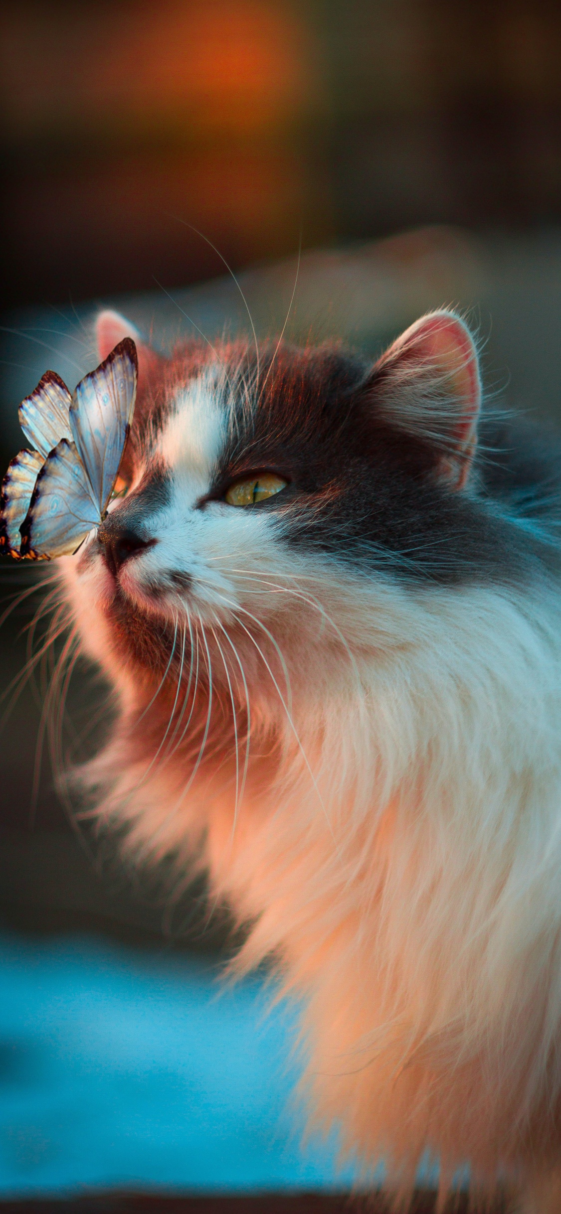 iPhone Animal Wallpaper