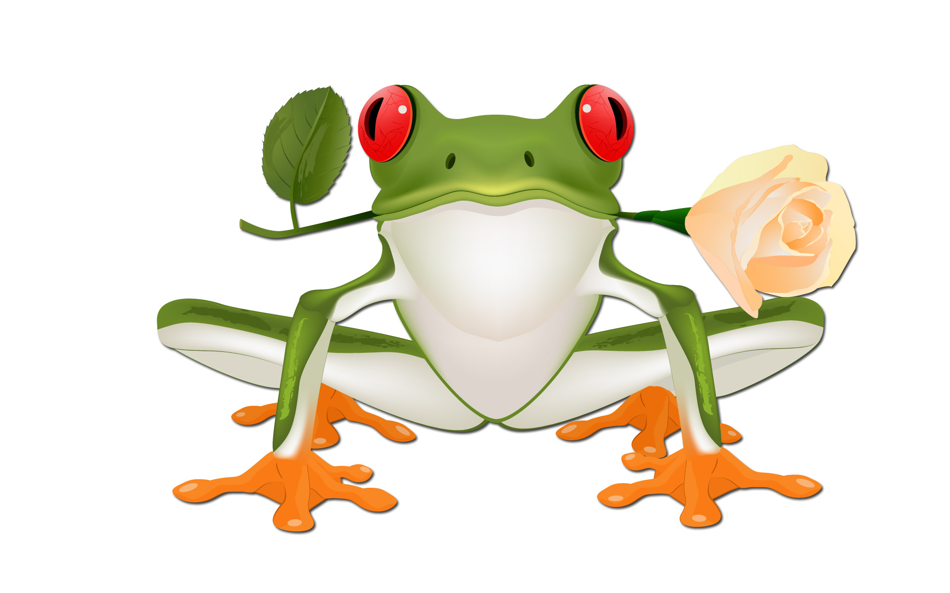 Frog 3d Wallpaper For Desktop Clipart Best