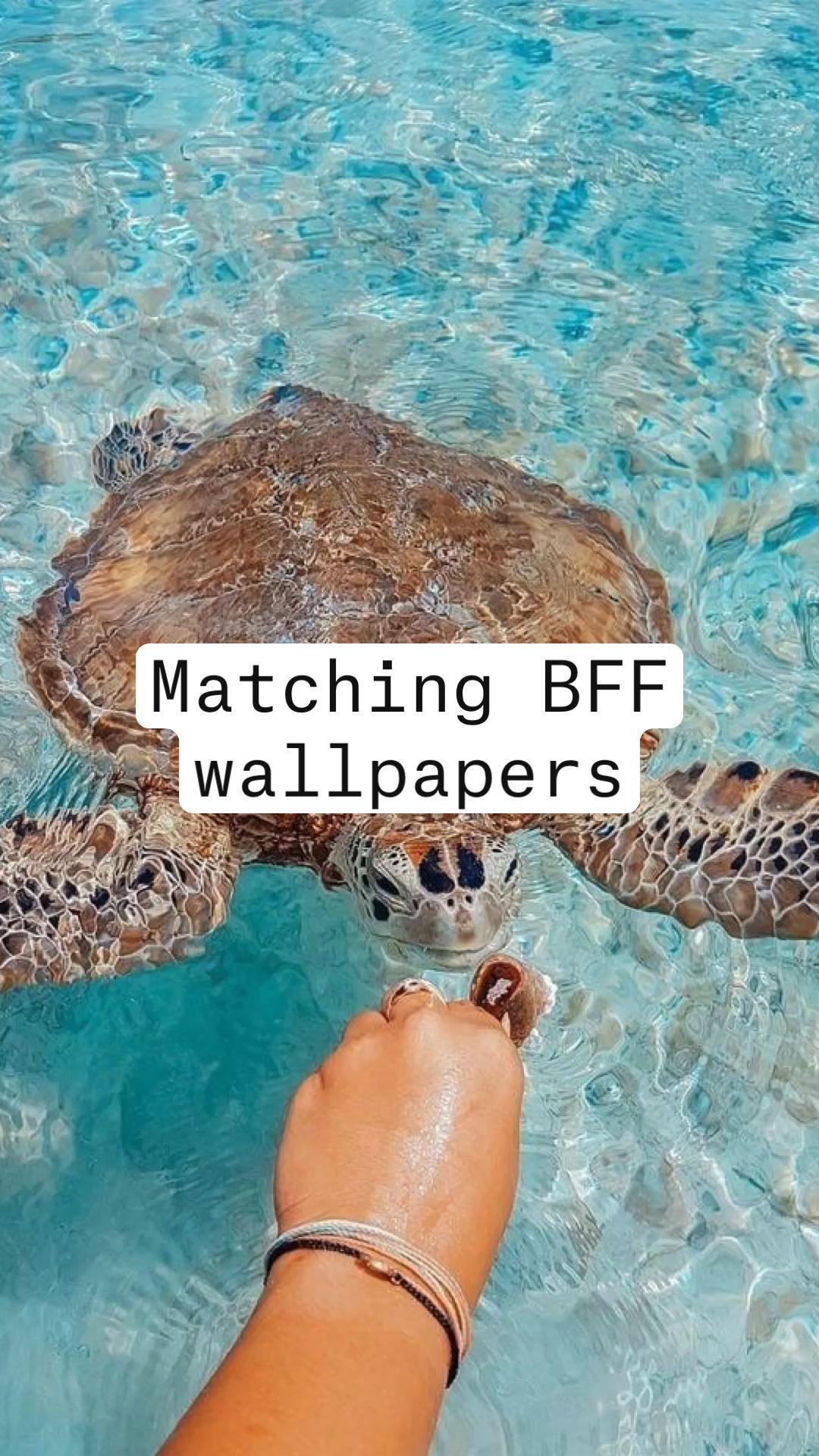 Matching Bff Wallpaper Cute iPhone Android Phone Lock