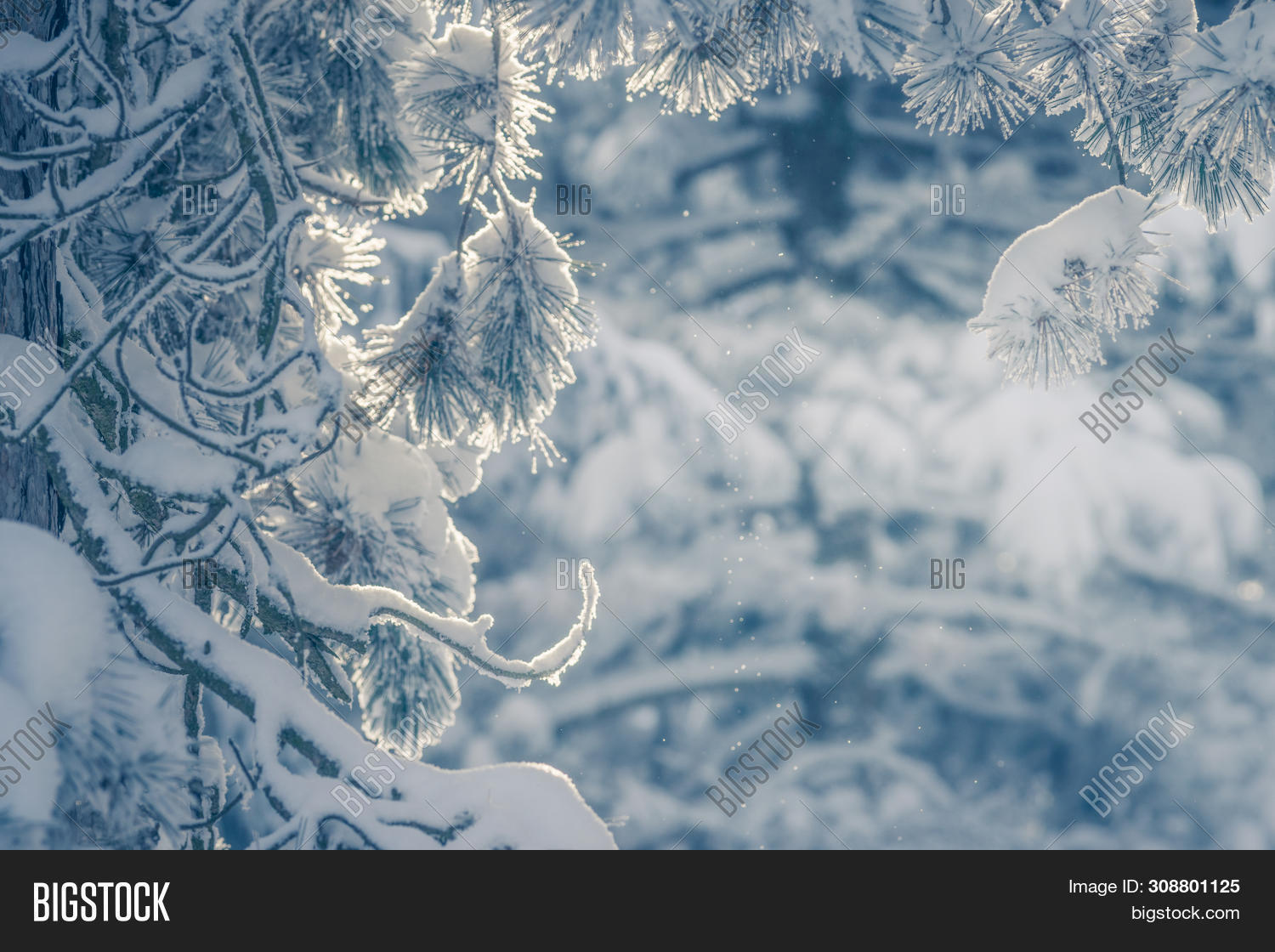 Winter Background Image Photo Trial Bigstock