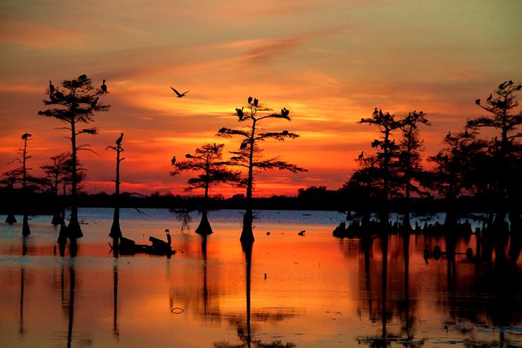 Louisiana Sunsets Carey Chen Nature Beautiful Bayou