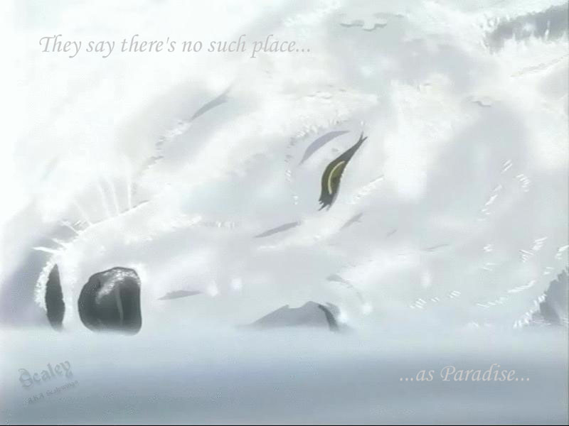 Wolf S Rain Wallpaper By Scalywings