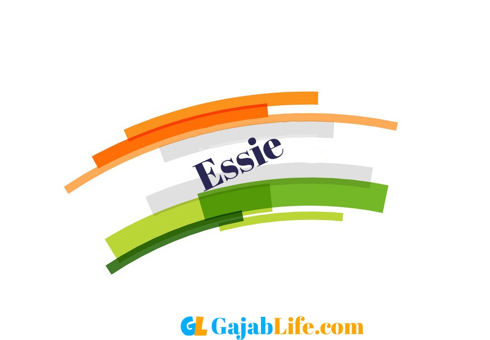 Create Your Republic Day Wallpaper Essie With Name Profile