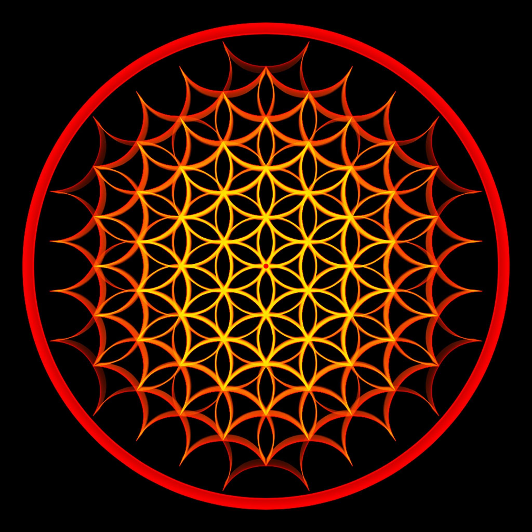 Flower Of Life Wallpaper