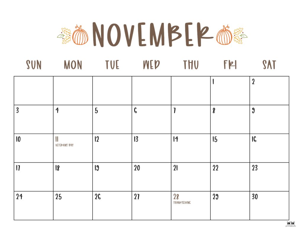 A simple and aesthetic November 2024 calendar wallpaper with a Thanksgiving theme. It features pumpkins and fall leaves, marking Veterans Day on the 11th and Thanksgiving on the 28th
