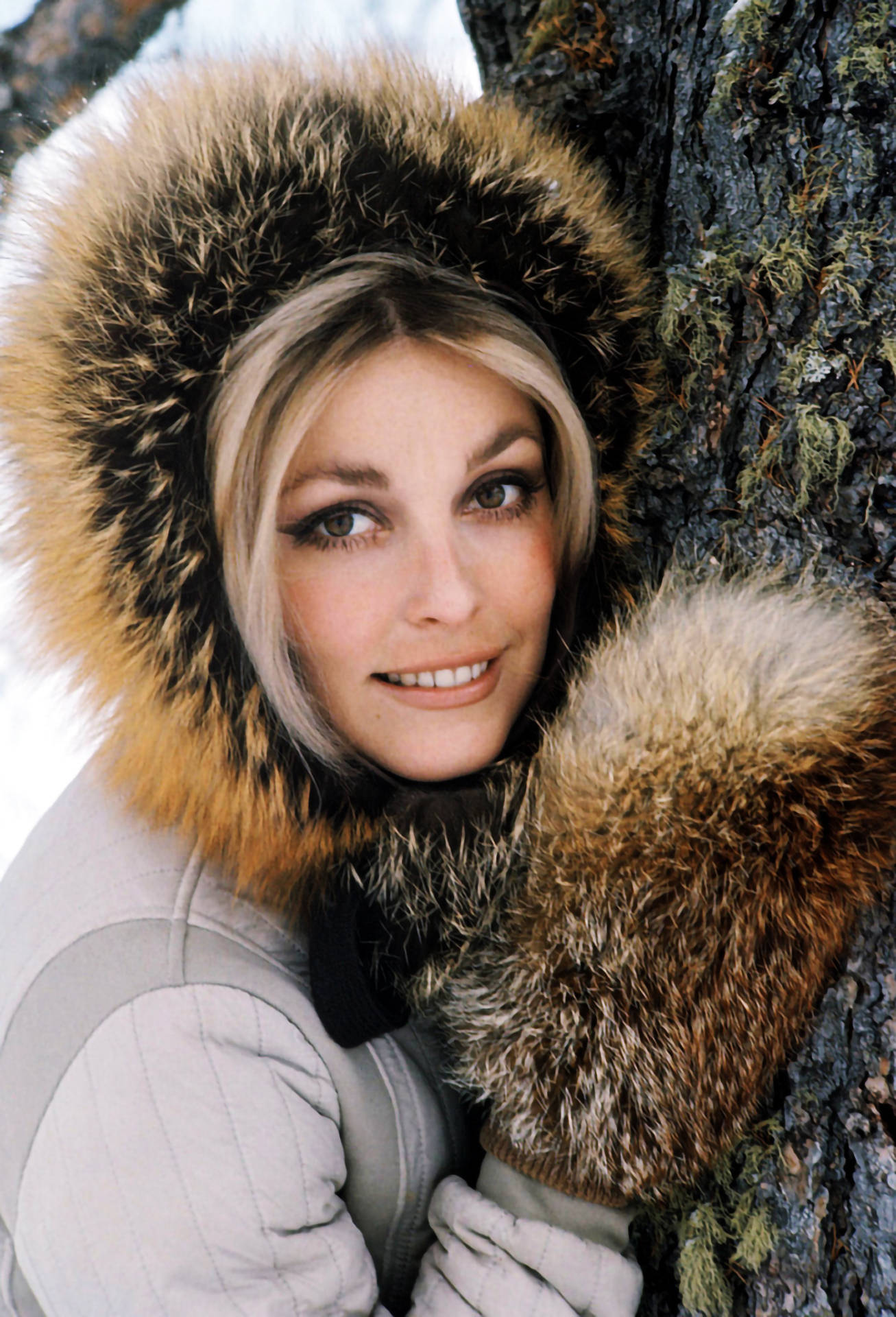 Sharon Tate Wallpaper