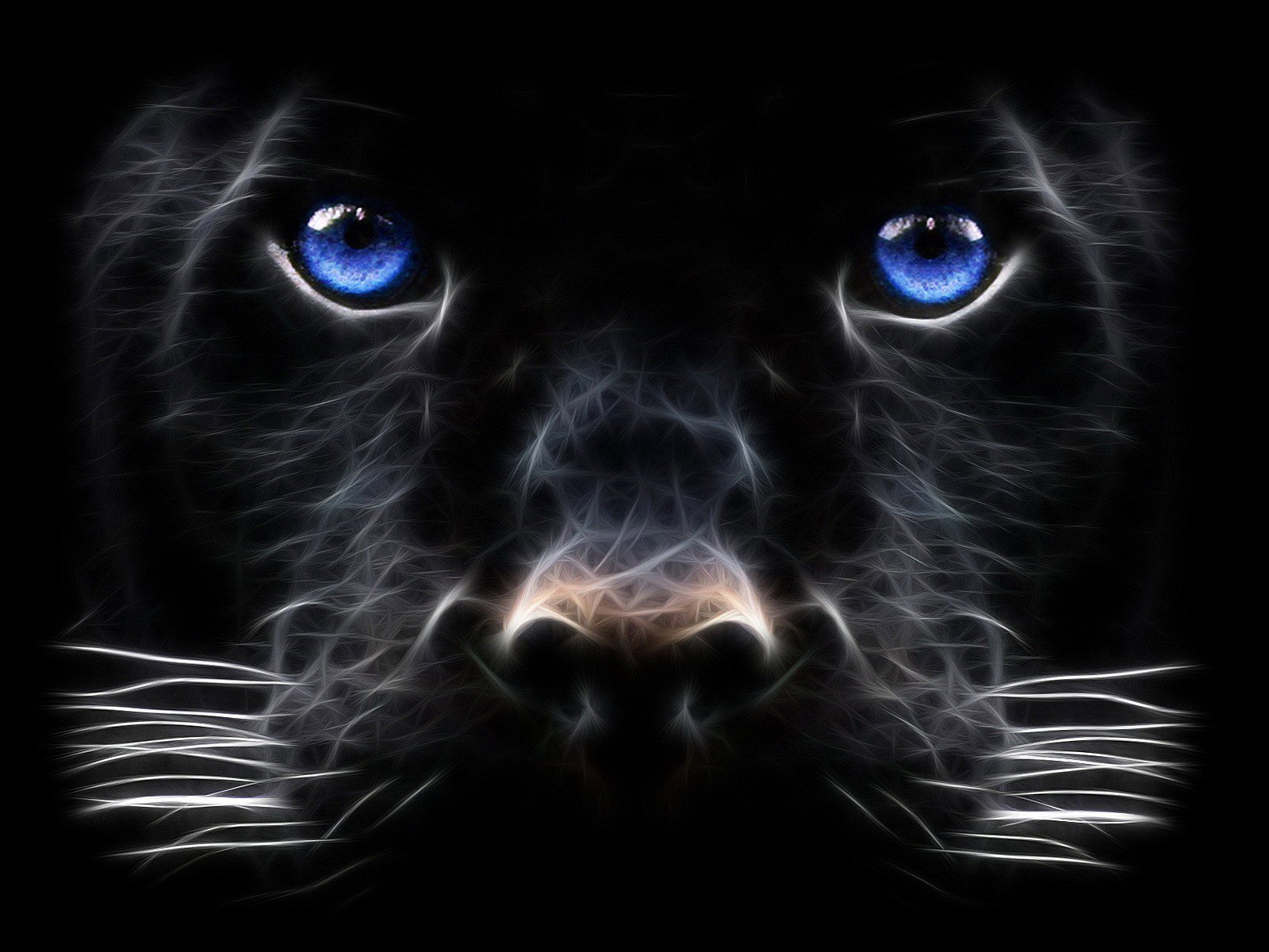 Black Panther Big Cat Digital Art HD Wallpaper Hd Wallpaper 1600x1200