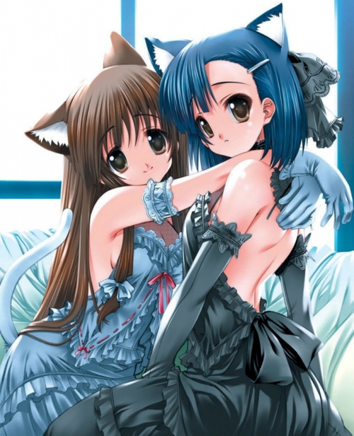 Nekomimi Anime Girls Hugging Darlings These Wallpaper
