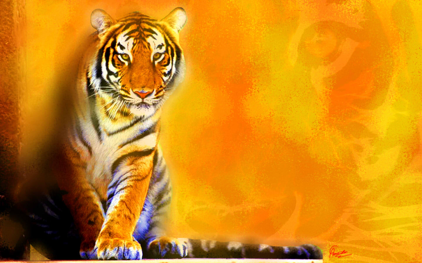 Tiger Background By Amandamoustache