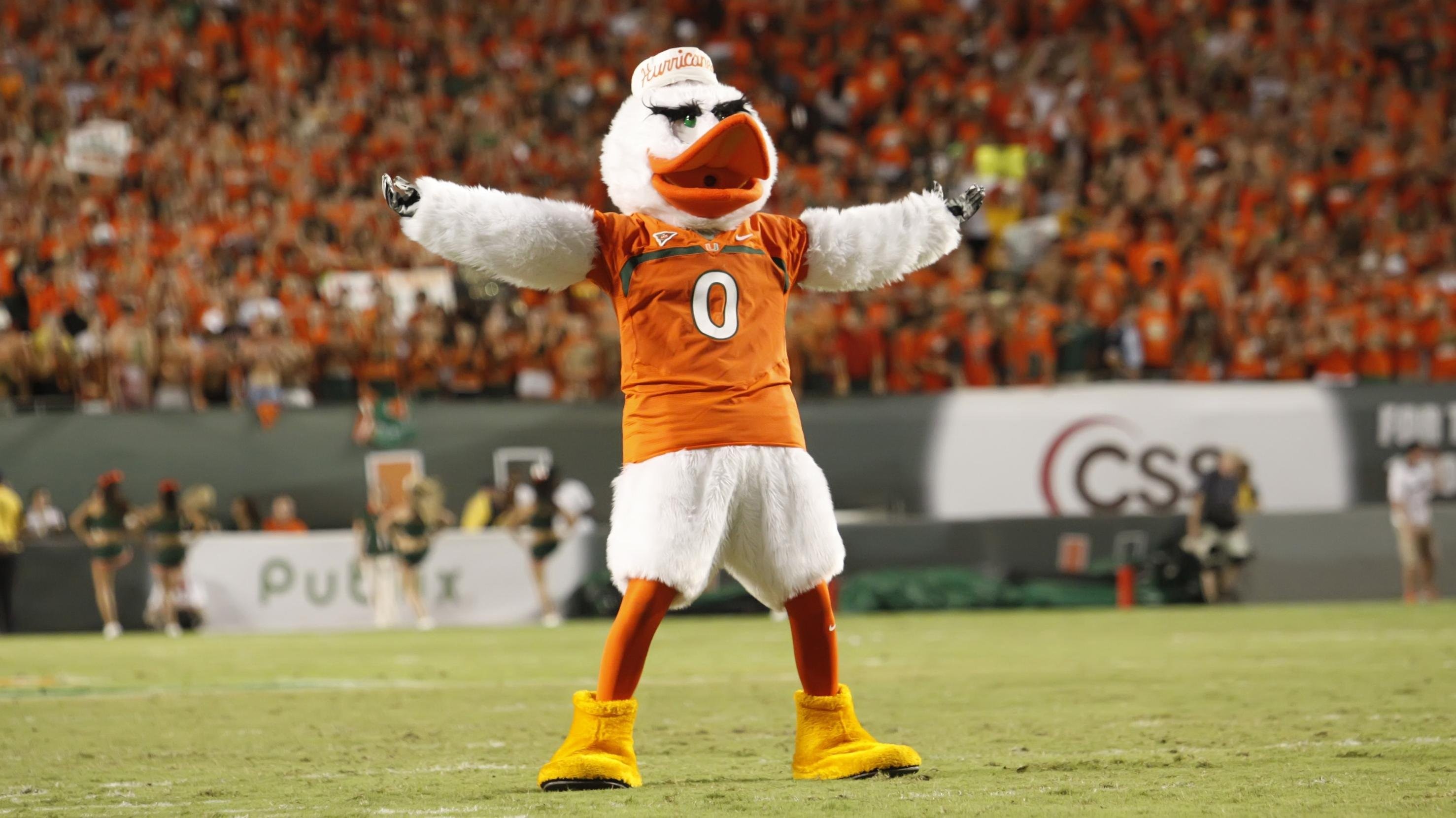 Miami Hurricanes Wallpaper