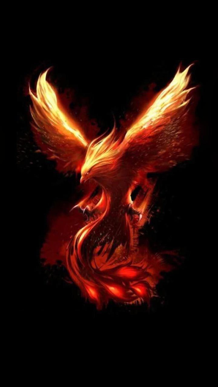 Phoenix Wallpaper Mythical Creatures In