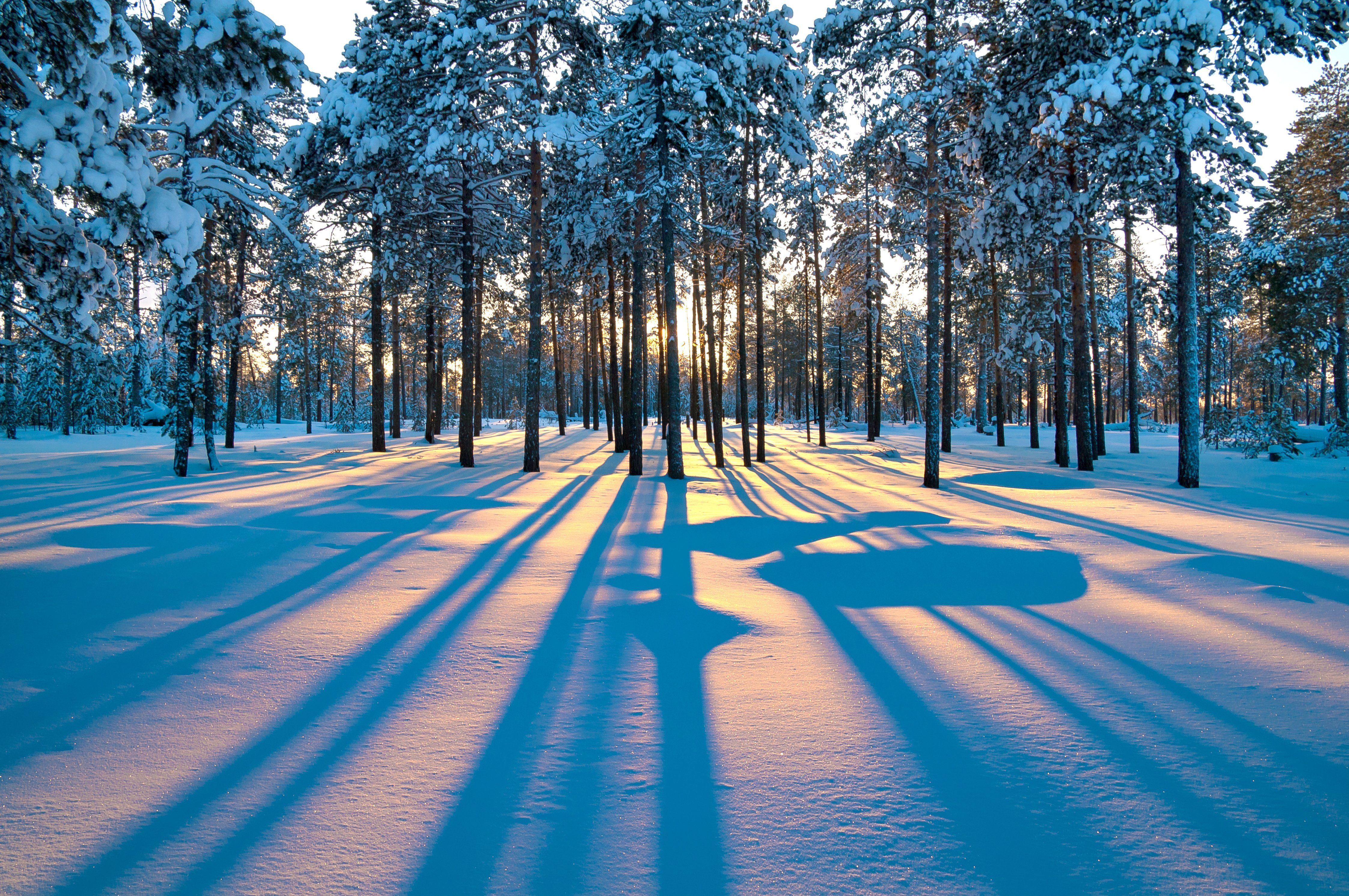 Winter Sunrise Wallpaper Photos