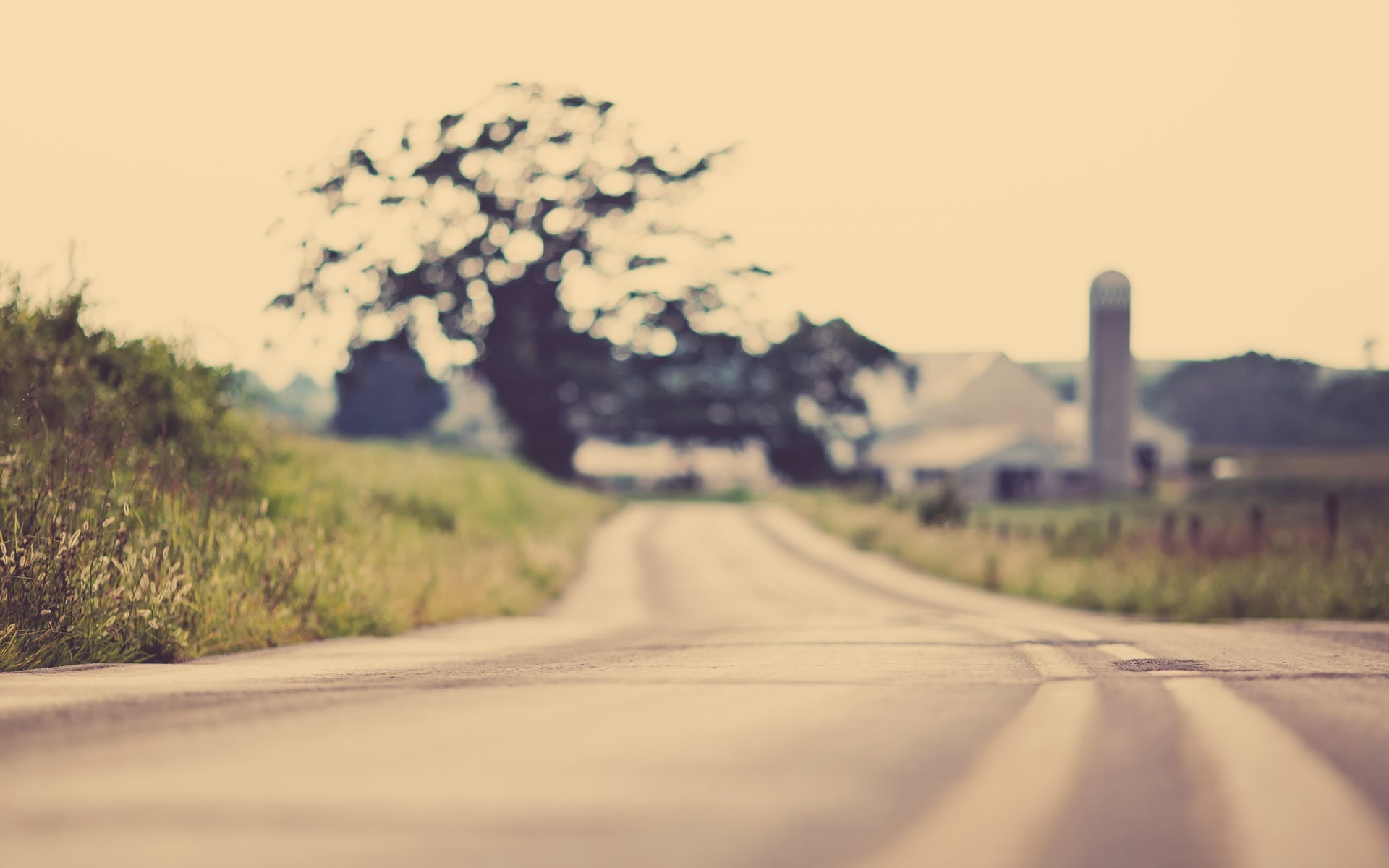 Country Roads Wallpaper
