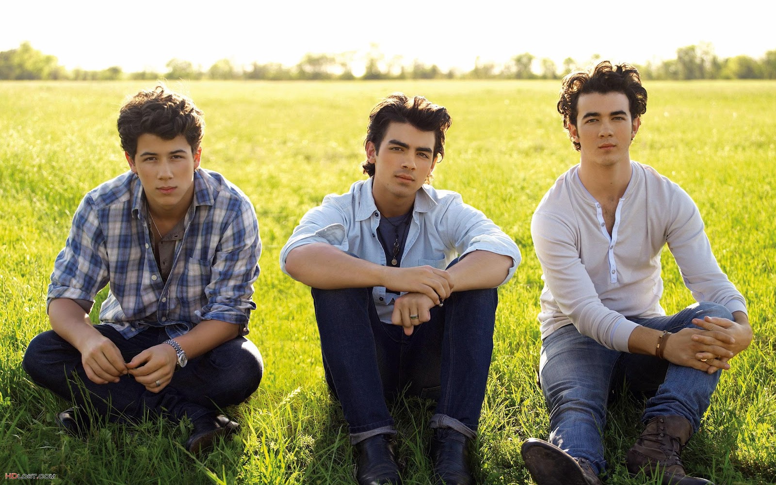Hollywood Jonas Brothers Rock Band Wallpaper