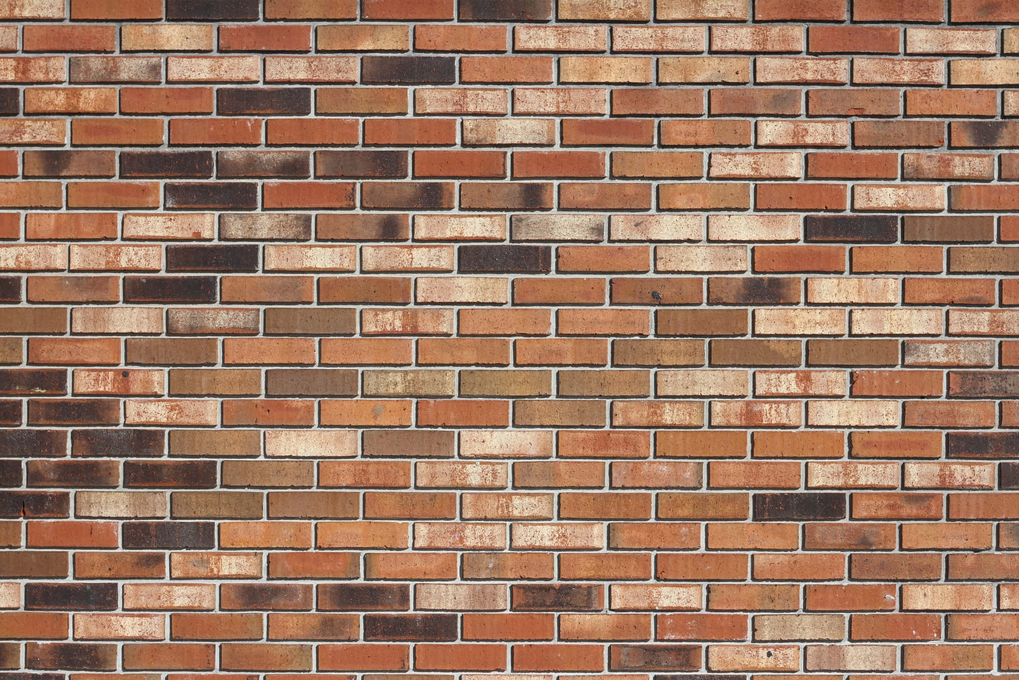 Brick Texture Picture X Wallpaper