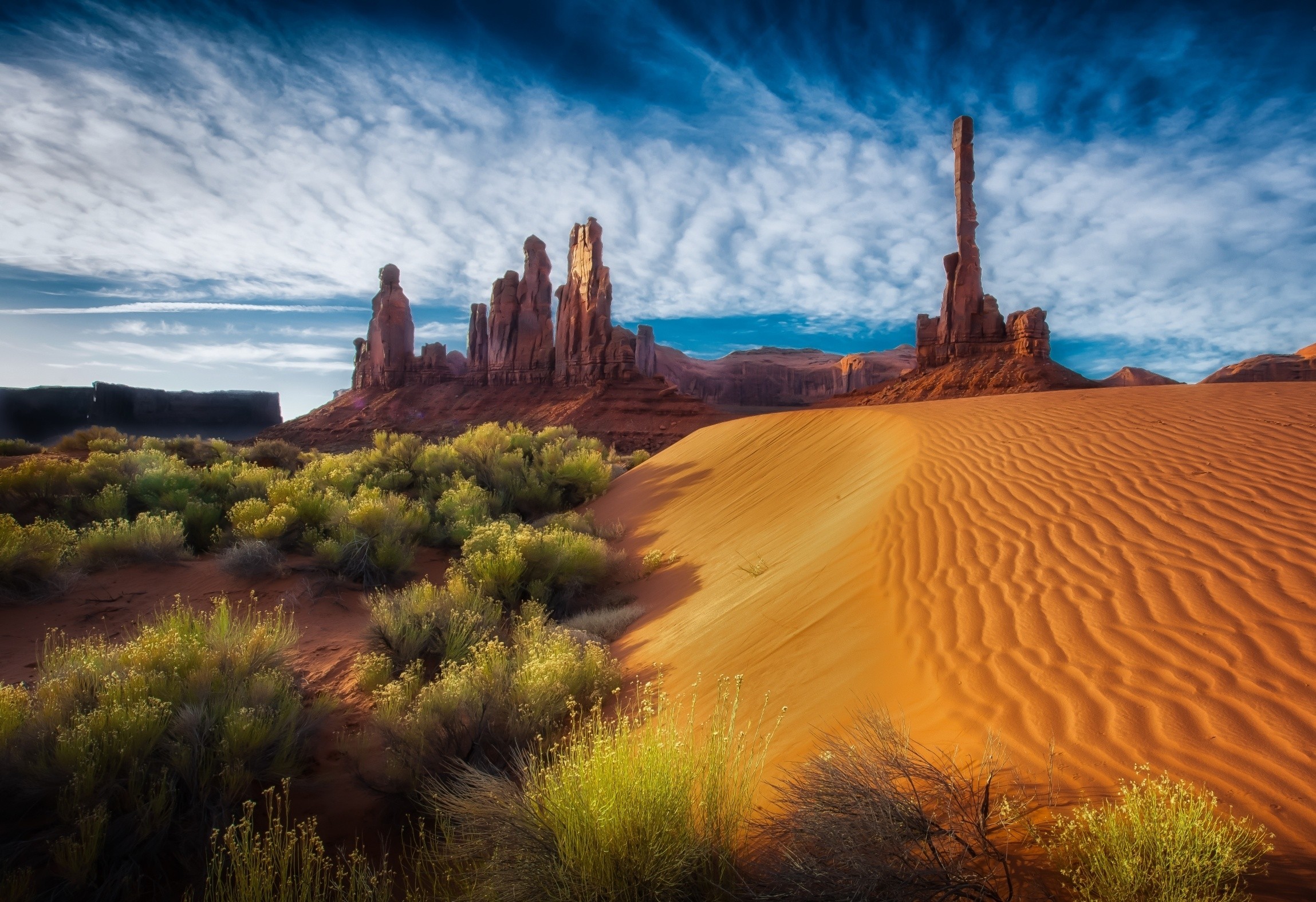 Tree Sand Landscape Nature Desert HD Wallpaper