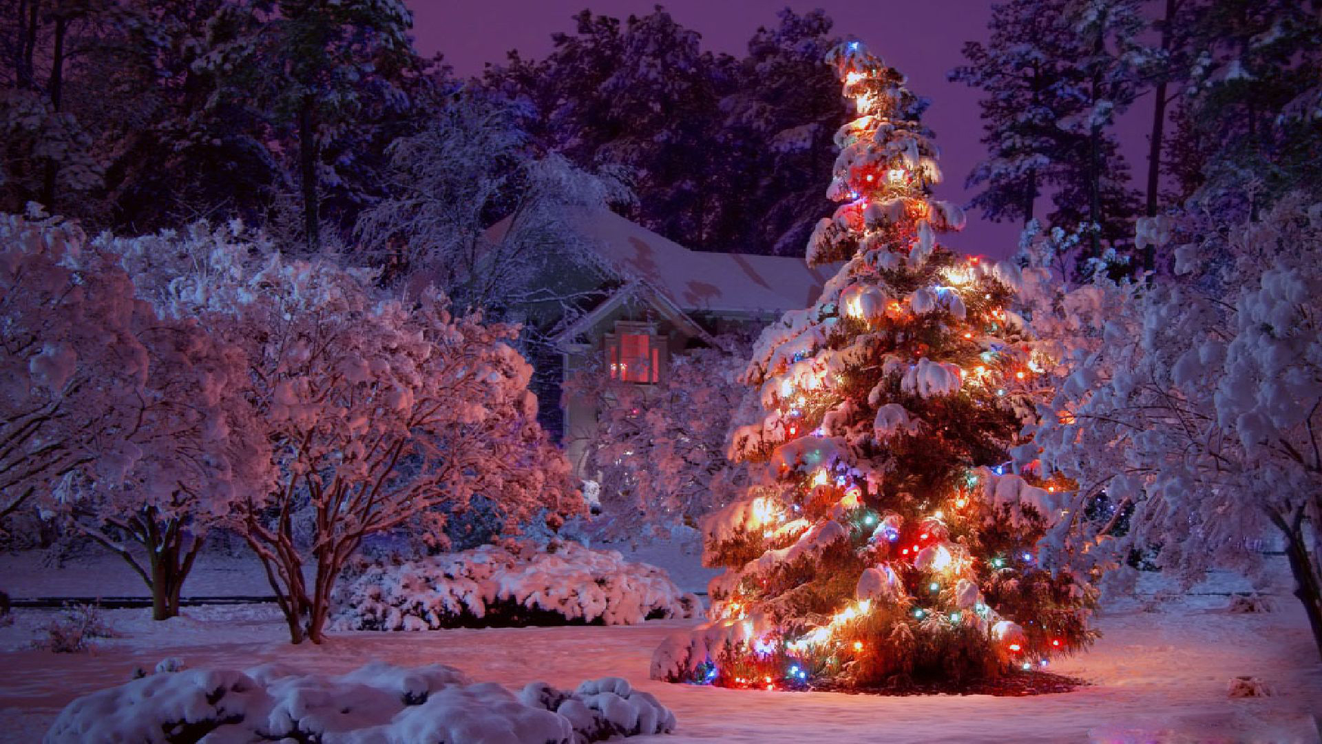 A snow-covered Christmas tree adorned with colorful lights stands in front of a house, also covered in snow, in a winter wonderland setting