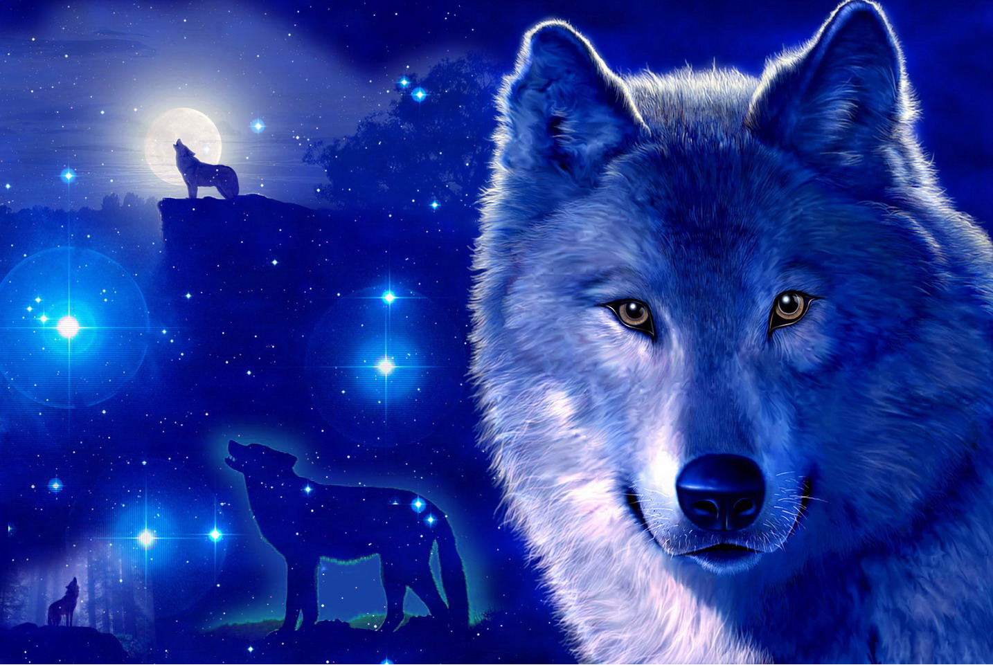 Wolf Puter Wallpaper Desktop Background Id